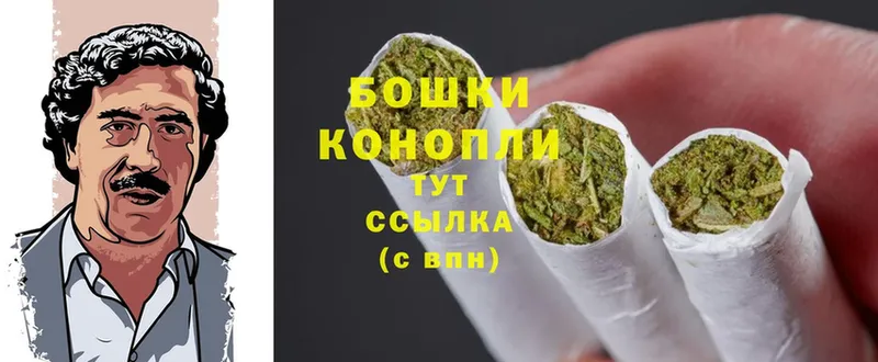 закладка  Сыктывкар  Бошки Шишки White Widow 